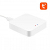Ovládač Avatto GW ZigBee