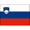 ADRIA BANDIERE SLOVINSKO VLAJKA Variant: SLOVENIA FLAG CM.20X30