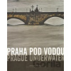 Praha pod vodou/Prague underwater - Czech Photo