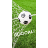 Detexpol Osuška Futbal gól 70x140 cm