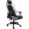 GXT 714W RUYA gaming chair white TRUST