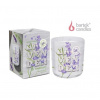 BARTEK Lavender & rosemary sviečka v skle 150g, doba horenia 30 hodín