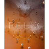 neuvedený autor - FELIX
