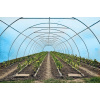 Fóliovník - Blue záhradnícke tunelové fólie UV2 4 m x 6m (Blue záhradnícke tunelové fólie UV2 4 m x 6m)