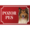 Kólia dlhosrstá (Škótsky ovčiak dlhosrstý) - Kovová tabuľka POZOR PES