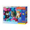 Castorland Kittens in yarn store 300 dielov