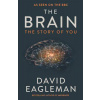 Brain - The Story of You