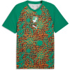 Puma Mens Ivory Coast Warm-Up Shirt World Cup 2026 Green/Brown S
