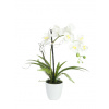 Orchidej bílá v dekoračním květináči, 62 cm