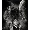 Obraz – Harry Potter – PepéArt