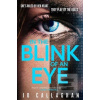 In The Blink of An Eye (Jo Callaghan)