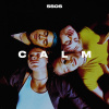 5 SECONDS OF SUMMER - CALM (1VINYL)