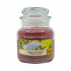 Yankee Candle Sunny Daydream Small Jar 104 g