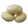 Sadbové zemiaky Dali nemorené, 5kg