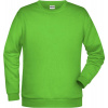 James & Nicholson | JN 794, Pánska mikina, zelená Lime, 3XL