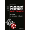 Praktický průvodce pistolnice - Dominik Valášek