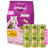 WHISKAS Junior chicken 14kg + WILD FARM Premium Grain Free Chicken and Salmon Junior 6x400g