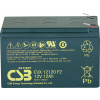 CSB Battery EVX 12120 EVX12120F2 olověný akumulátor 12 V 12 Ah olověný se skelným rounem (š x v x h) 151 x 100 x 98 mm plochý konektor 6,35 mm odolné proti