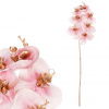 Autronic Orchidea - umelá rezaná, zlaté zdobenie, ružová KUC2603 PINK