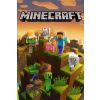 CUKROVÁ TLAČ jedlý obrázok na tortu Cukrová hmota Minecraft Dungeons Poster + MENO