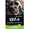 E-kniha Róza - Václav Franc