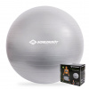 Gymnastická lopta Schildkröt Gymnastic Ball 65 cm Anthracite