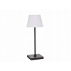 ZÁHRADNÁ LAMPA STOLOVÁ KOVOVÁ ČIERNA 39 cm S TIENIDLOM