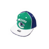 Reebok Snapback Vancouver Canucks Pinwheel
