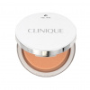 Clinique Stay-Matte Sheer Pressed Powder 7,6 g odstin 17 Stay Golden