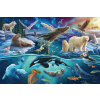 SCHMIDT Puzzle Arktické zvieratá 150 dielikov