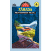 Záhada nezvestného pilota - Ben Nevis