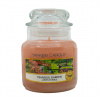 Yankee Candle Tranquil Garden Small Jar 104 g