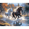 Norimpex Diamantové maľovanie Konská radosť 40x30cm