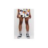 SANTA CRUZ kraťasy - Patched Up Shorts Patchwork Print (PATCHWORK PRINT) veľkosť: 12