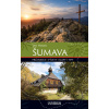 Šumava - Jan Hocek