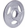 inSPORTline Hamerton Liatinový olympijský kotúč 2,5 kg 50 mm