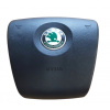 Skoda Fabia, Octavia 2006-2009 Záslepka Airbagu 61664210-H (61664210-H)