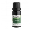 NOBILIS Benzoe, absolue 50% 10 ml