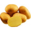 Sadbové zemiaky Sunshine nemorené, 10kg