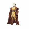 Hasbro Star Wars: The Acolyte Black Series - akčná figúrka - Padawan Jecki Lon