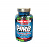 Aminostar HMB 500mg 100cps.