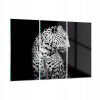 Obrázok na skle 165x110 Leopard Panther Cat (Potlač skla 165x110 leopard panter kat)