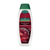 PALMOLIVE Naturals Brilliant Color šampón 350 ml