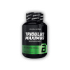BioTech USA Tribulus Maximus 90 tabliet
