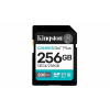 Kingston Canvas Go Plus/SDXC/256 GB/UHS-I U3 / Class 10 (SDG4/256GB)