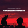 Erik Rothenstein Band / Jorge Pardo: Schumann Resonance - Erik Rothenstein Band, Jorge Pardo