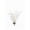 biOrb Sea Fan biela 29 cm