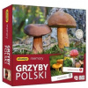 Hra Memory - Poľské huby