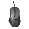 White Shark Ector Black GM-5016