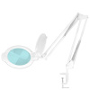 GLOW LED lupa moonlight 8013/6 